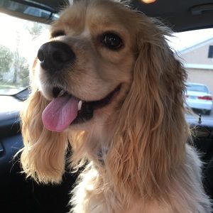 Meet your Posher, Mildred